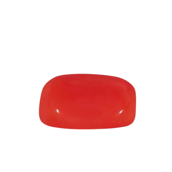 Red Coral - Image 2